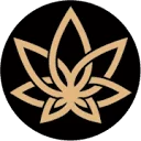 3CHI