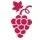 Alto Vineyards