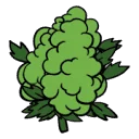Aussie Hemp Seeds