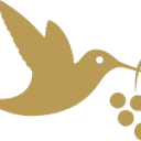 Azur Wines