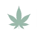cannahouse shop