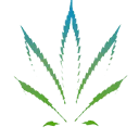 Cbd Biocare