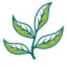 Cytoplan