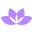 DERMAE