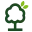 Dplantes