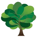 Forest Super Foods
