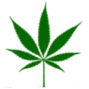 Greenhealthdocs