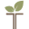Immune Tree