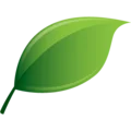 Kratom Capsules