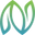 NEW VSL