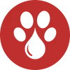 Paw CBD