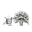 Steam And Oak